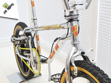 1994 GT Pro Freestyle Tour - Jaw Dropper GT BMX Projects